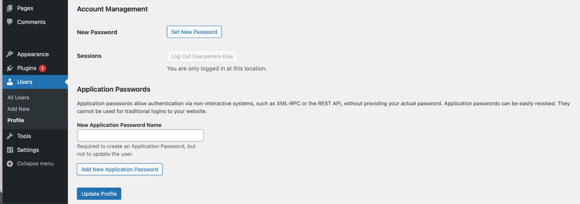 setting a new password in WordPress