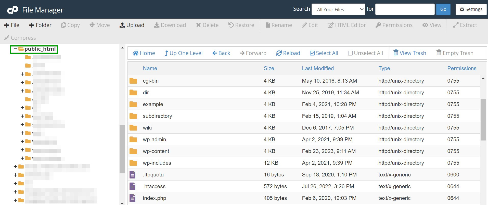 finding the public_html folder in cpanel
