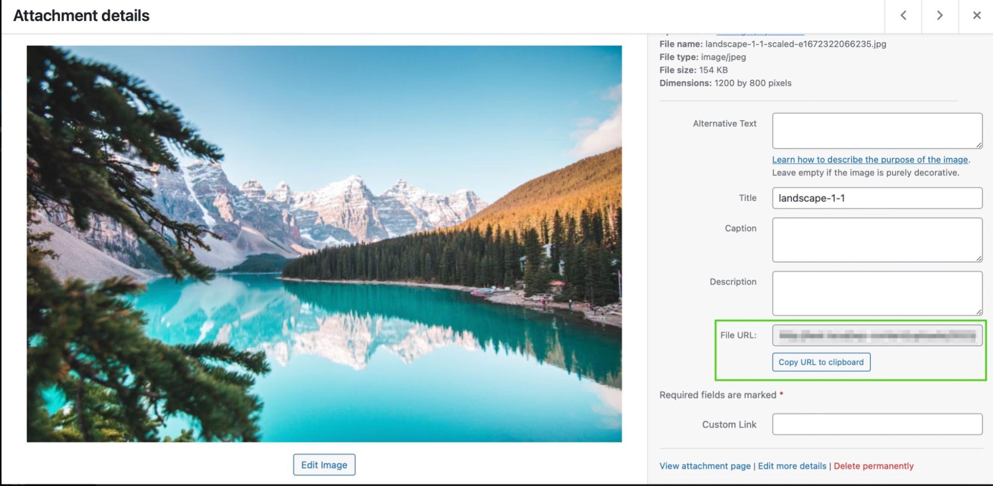 copying the file URL of an image in WordPress