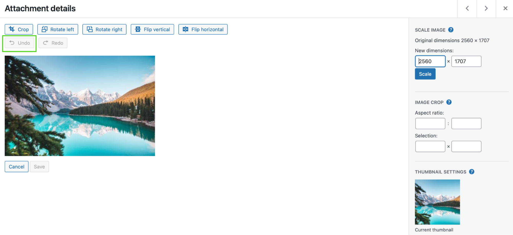undo button in the WordPress media library