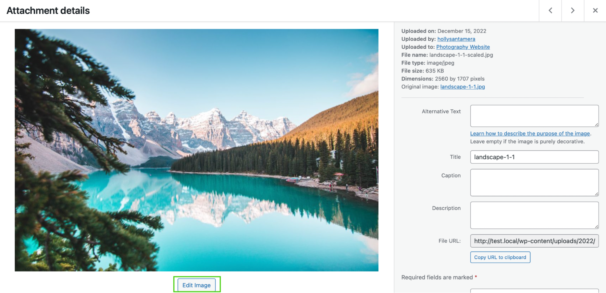 editing an image in the WordPress dashboard