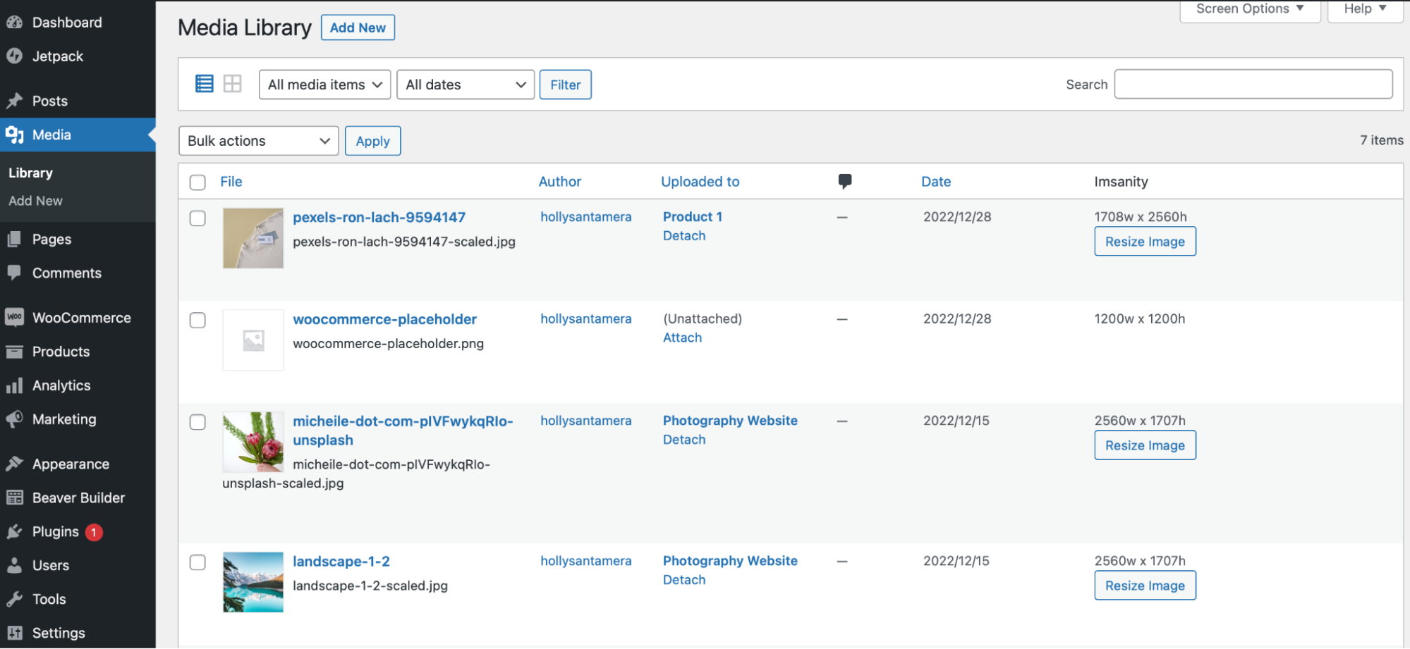 bulk resizing images in WordPress