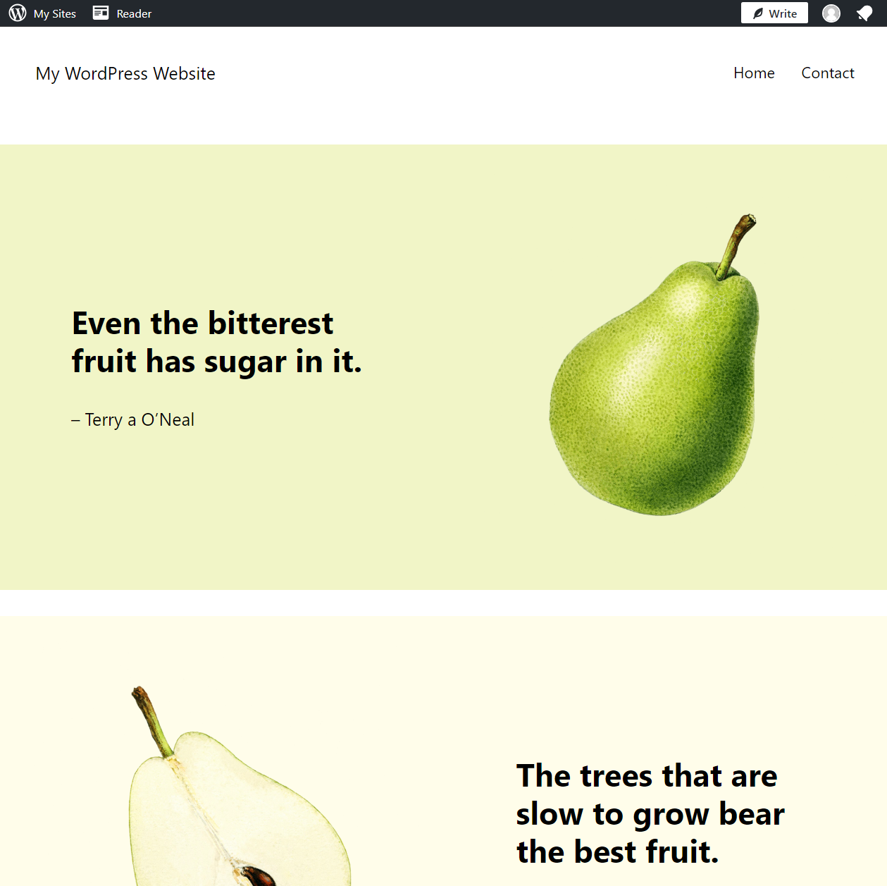 example of a WordPress theme in action