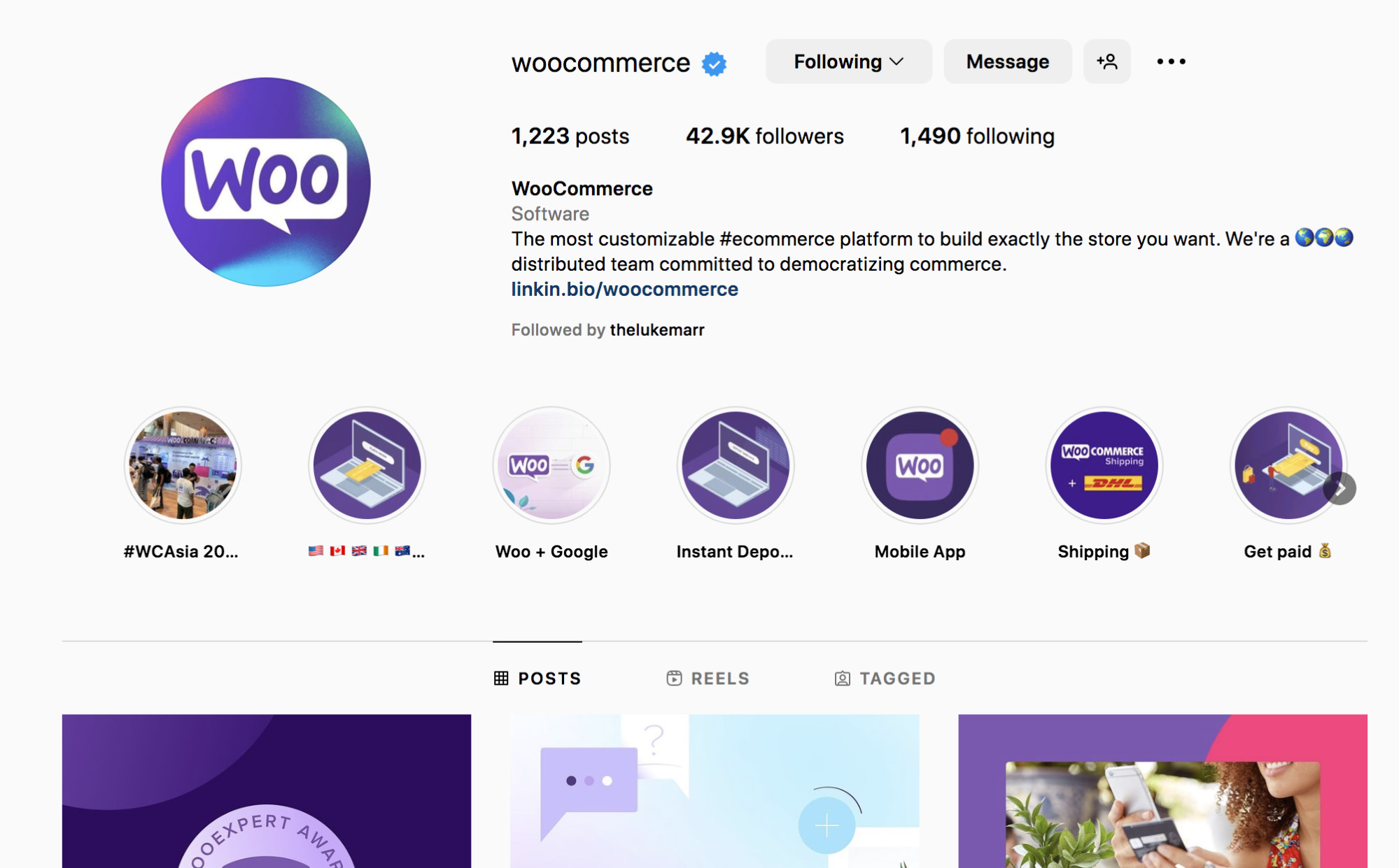WooCommerce Instagram - A popular choice for business growth