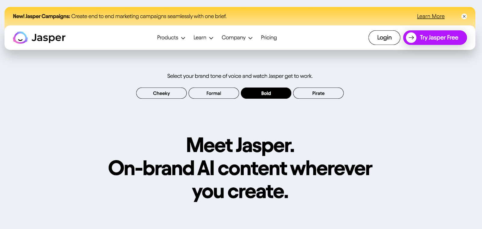 Jasper homepage
