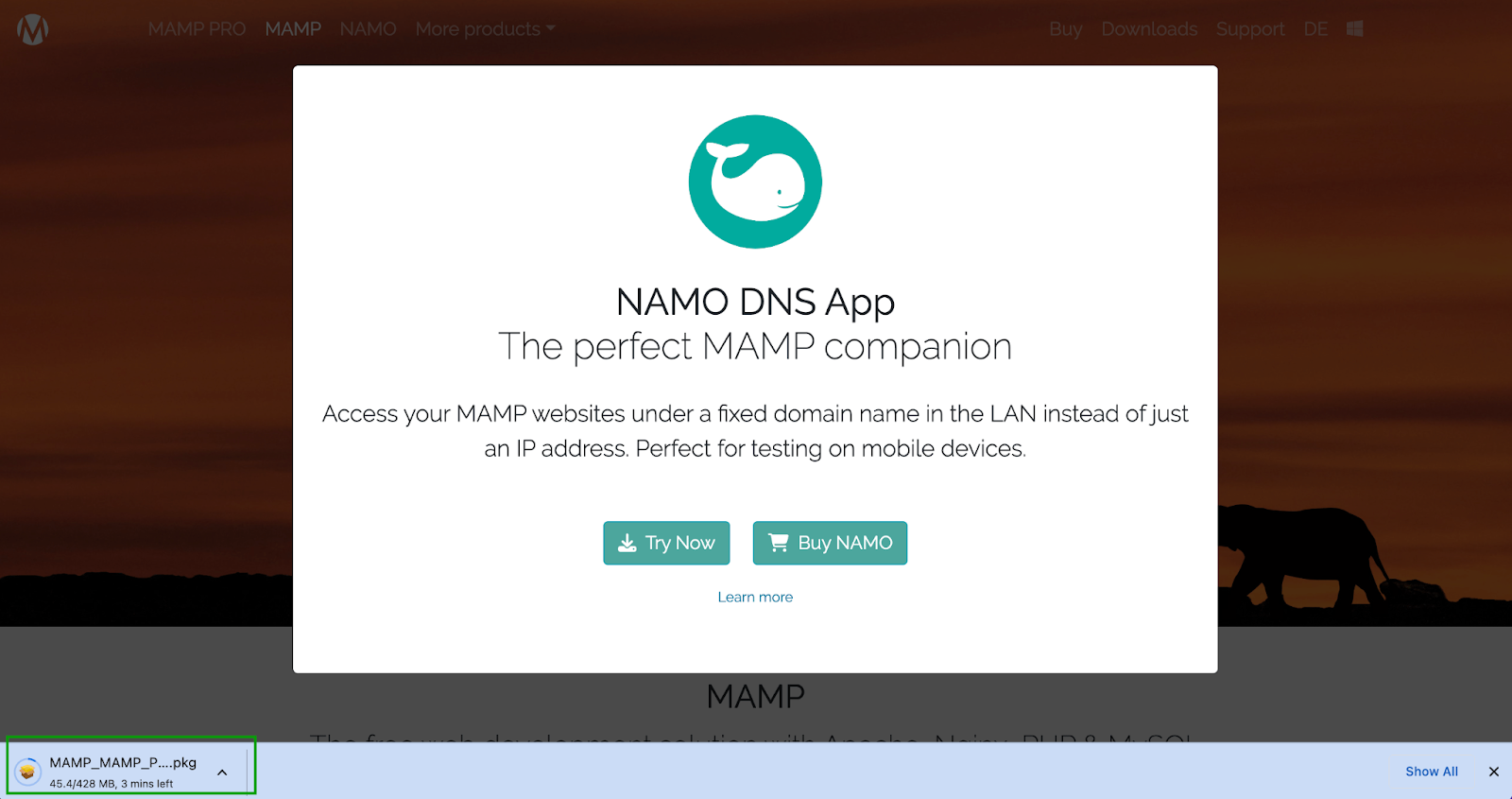 NAMO DNS app popup
