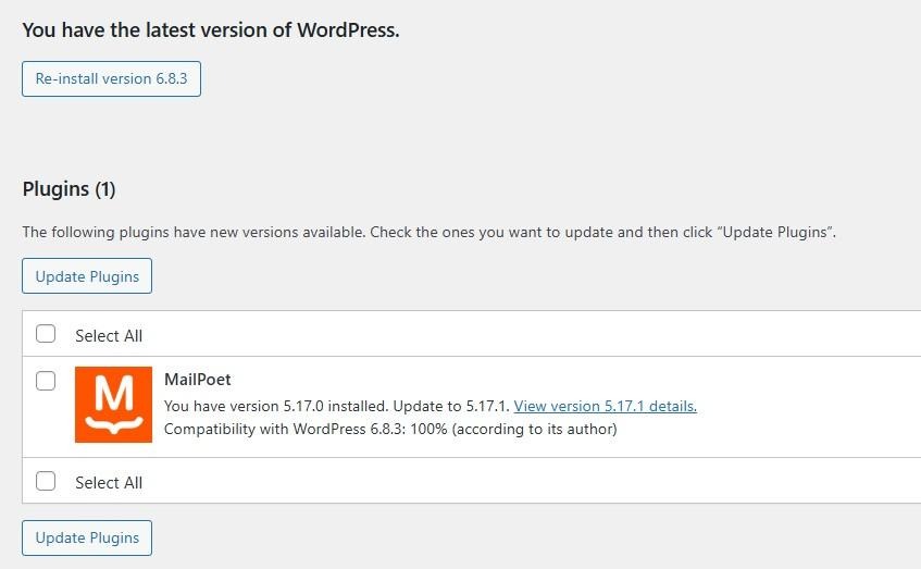 updating plugins in WordPress