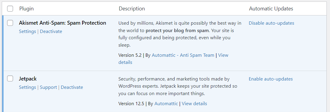 turning on auto-updates in WordPress