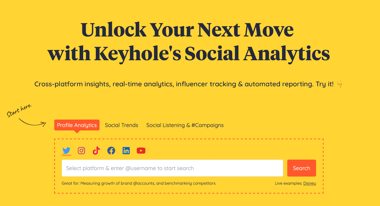 Keyhole is a social media auto poster that specializes in social analytics.