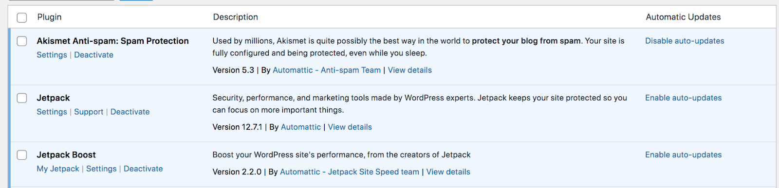 turning on auto updates in WordPress
