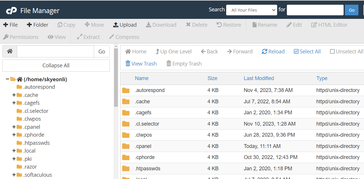 cpanel file manager