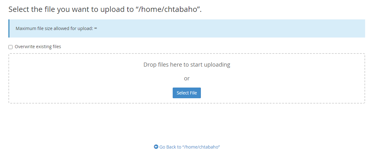 This will load a new page where you can select which file to upload. Locate the zipped backup file that includes the copy of your WordPress files.