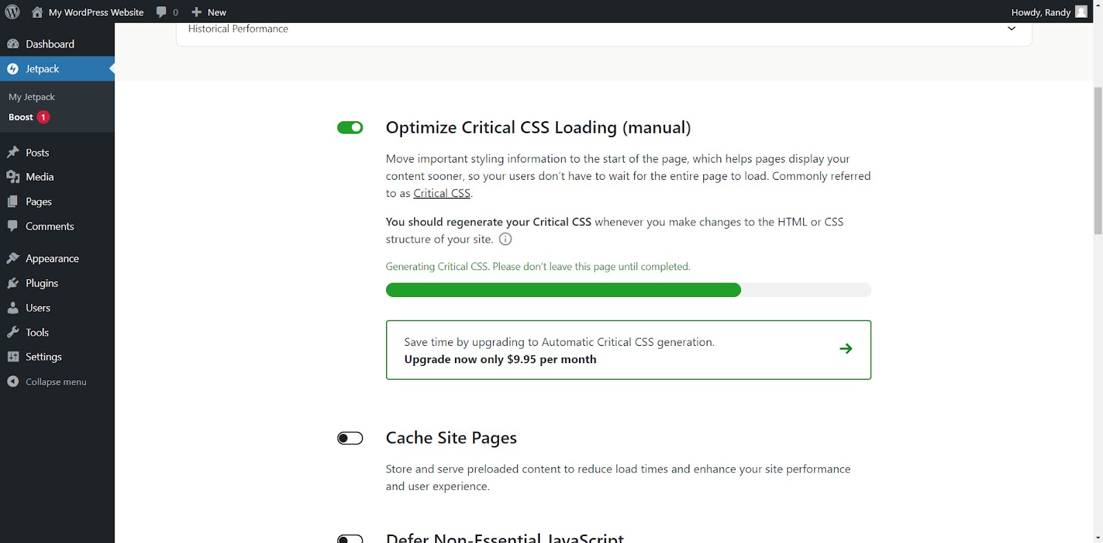 setting to optimize critical CSS loading