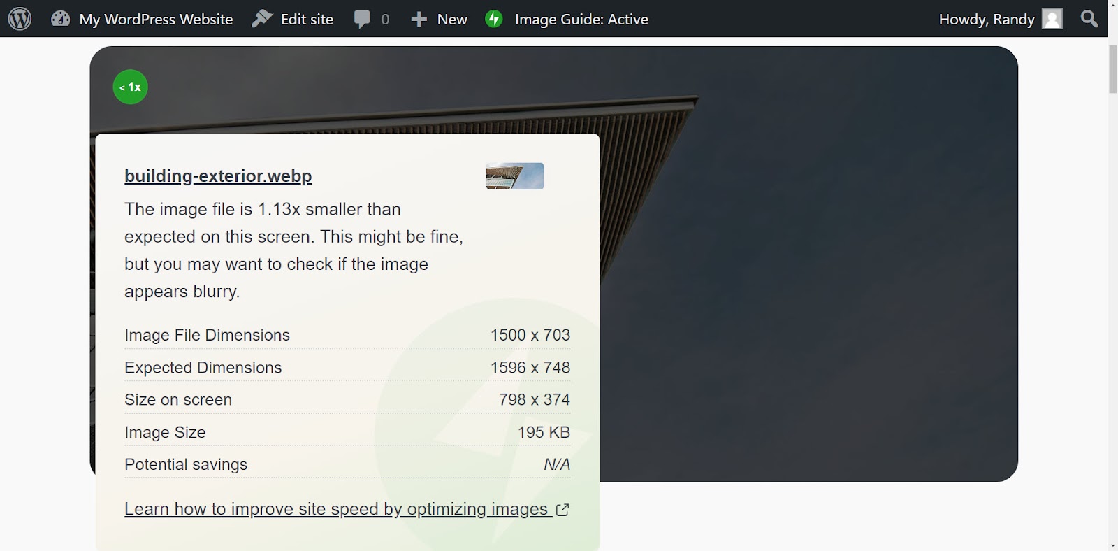 information about a .webp image, including dimensions and size
