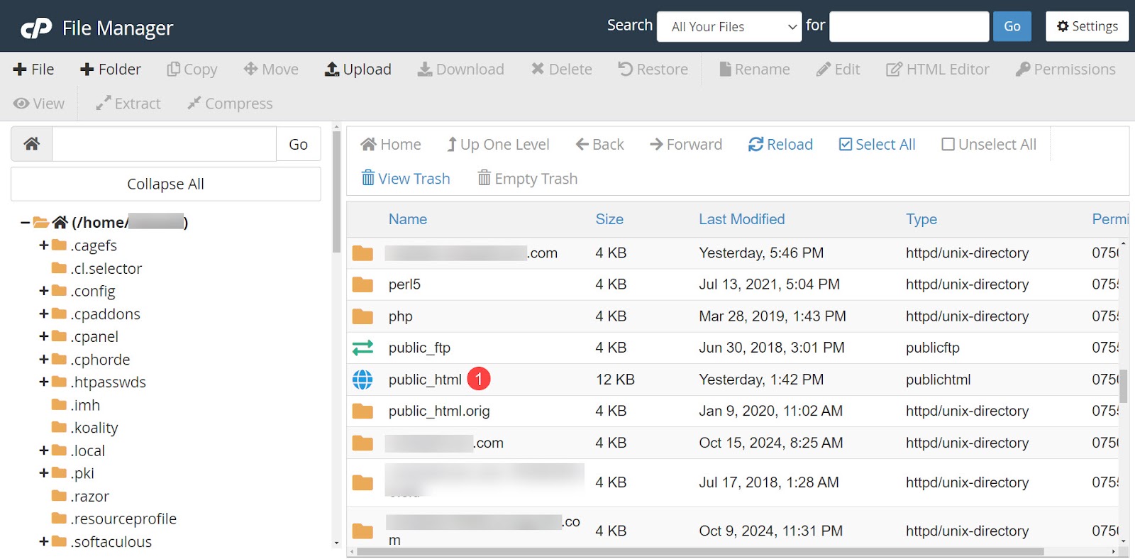 finding public_html in cpanel
