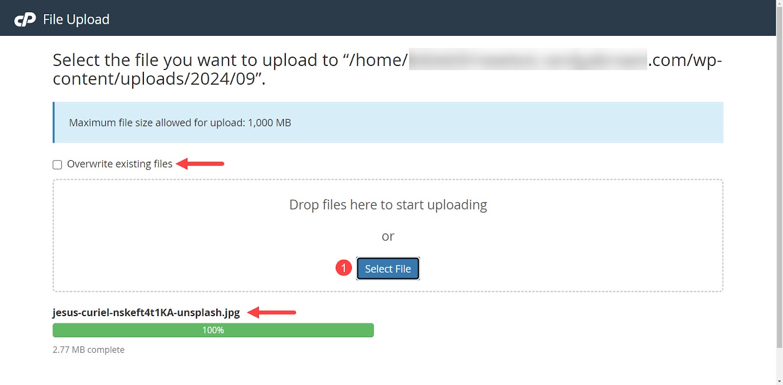 uploading image files