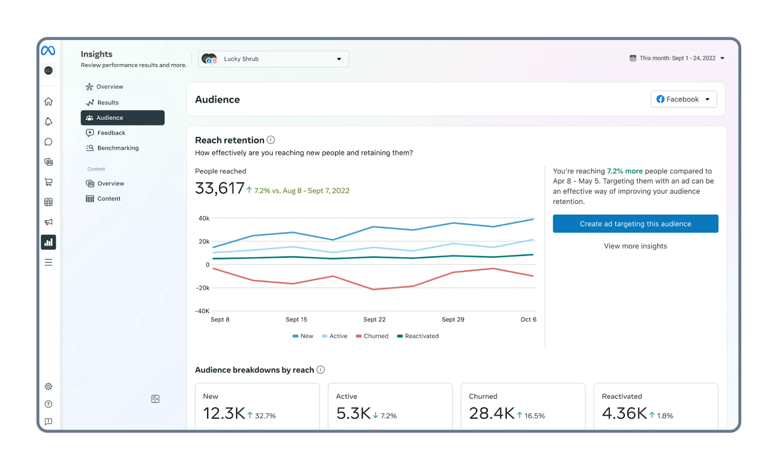 Facebook Insights dashboard
