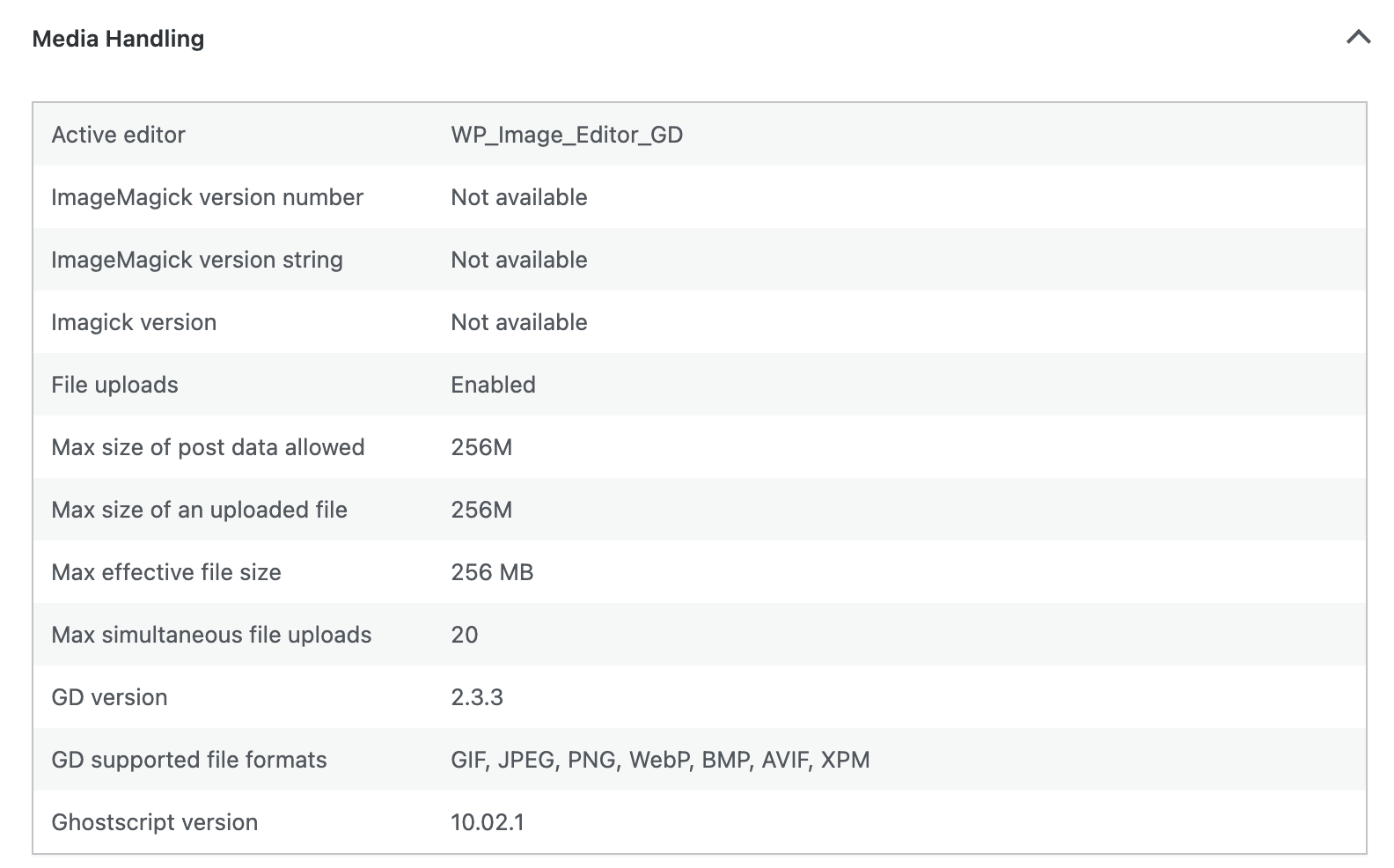 looking at the max file size in the Site Health panel