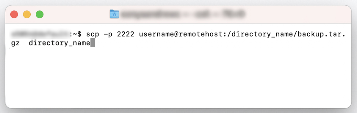 command to download the backup