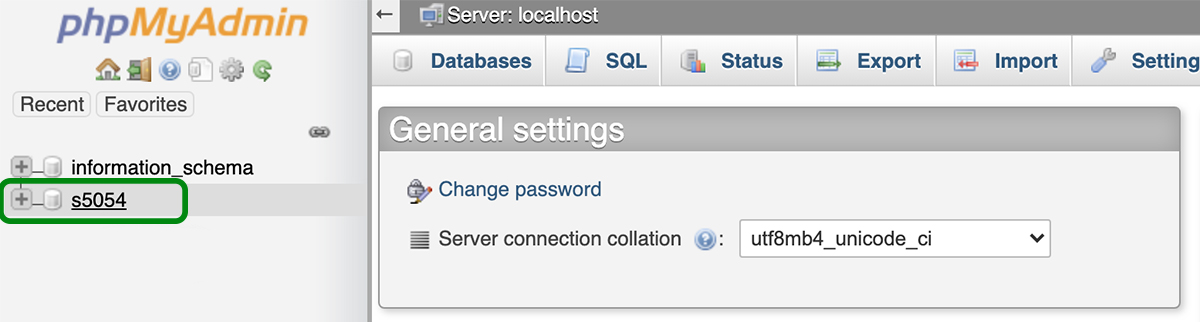 highlighting the database name