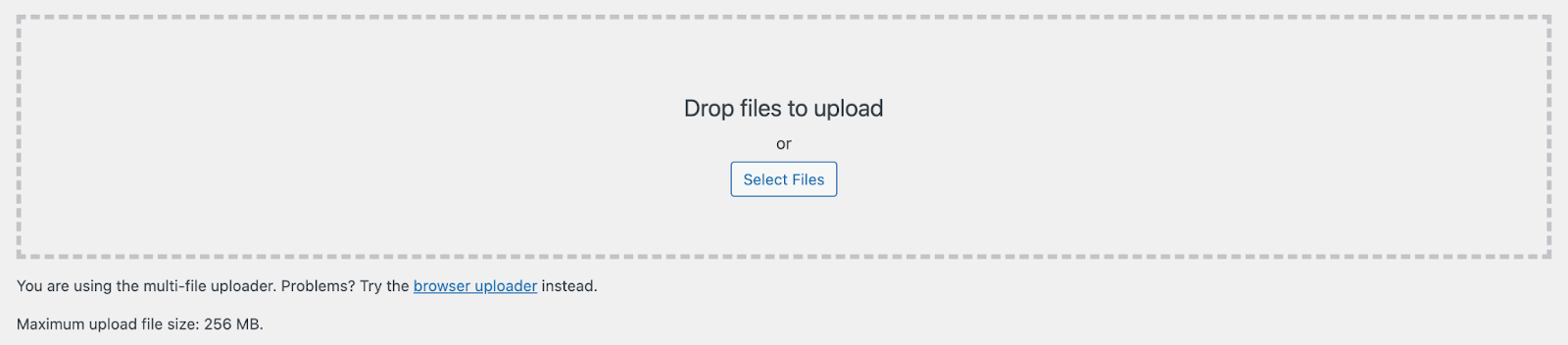 viewing the max file size when adding media to WordPress