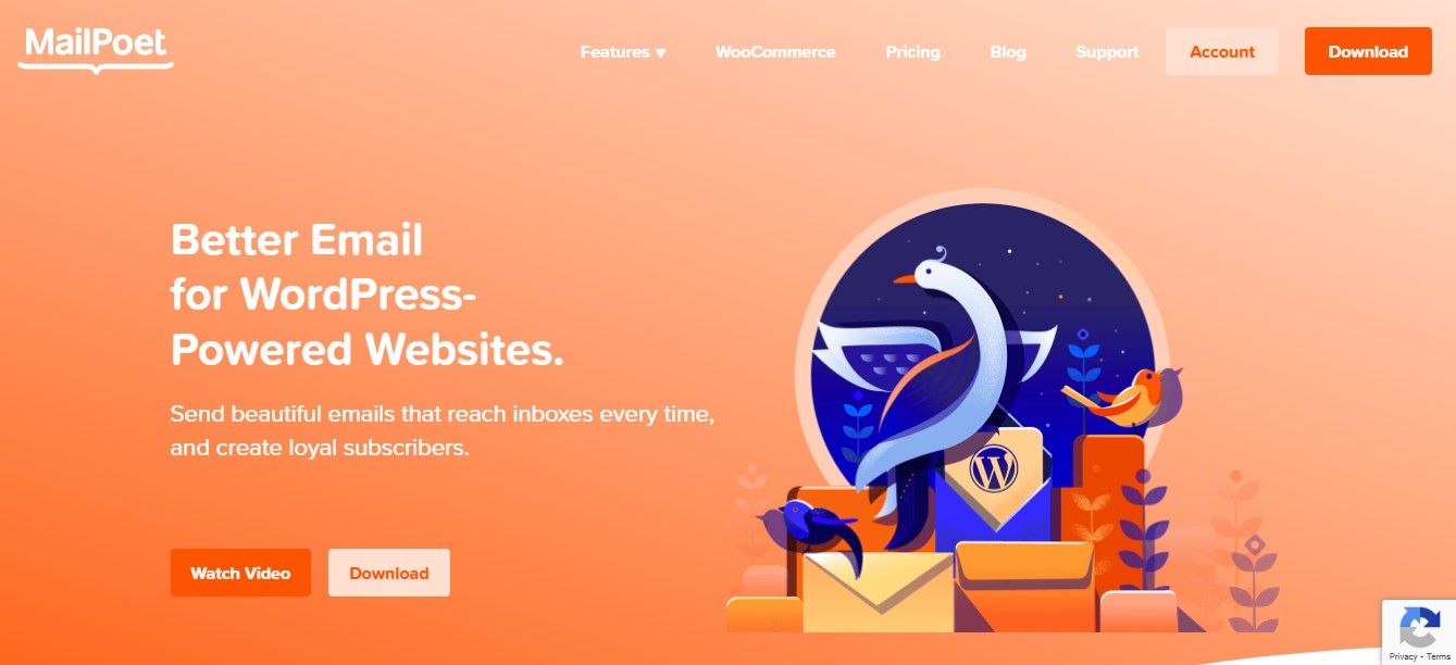 MailPoet homepage with the text "better email for WordPress-powered websites"