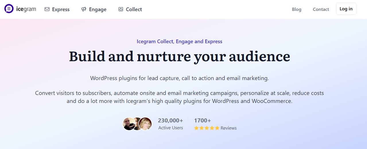 Icegram homepage with the text "build and nurture your audience"