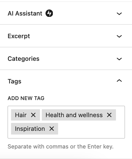 Expanded tags dropdown in the right hand side of the WordPress Post Editor - Hair, Health and wellness, and Inspiration tags added.