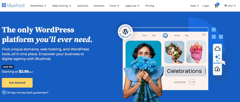 Homepage hero section on bluehost.com with title, paragraph, image, and 'Get Started' button.