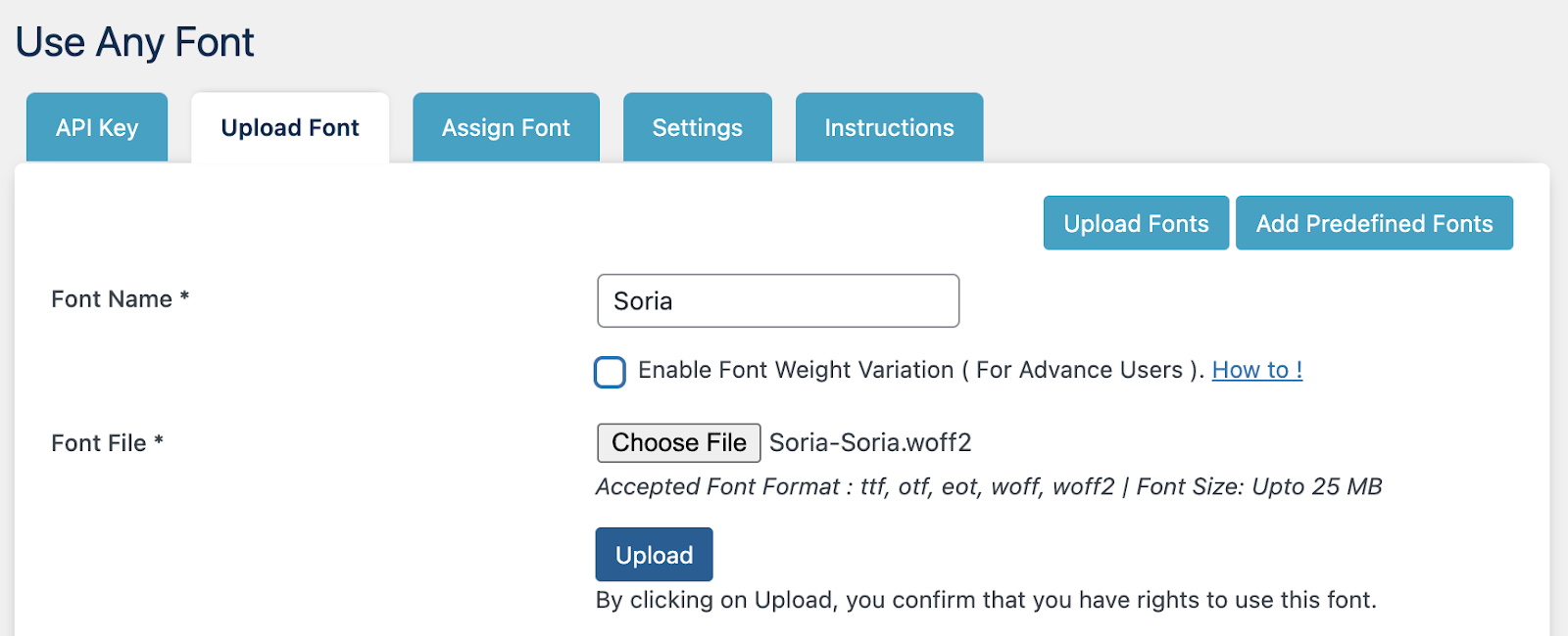 Use Any Font upload font options
