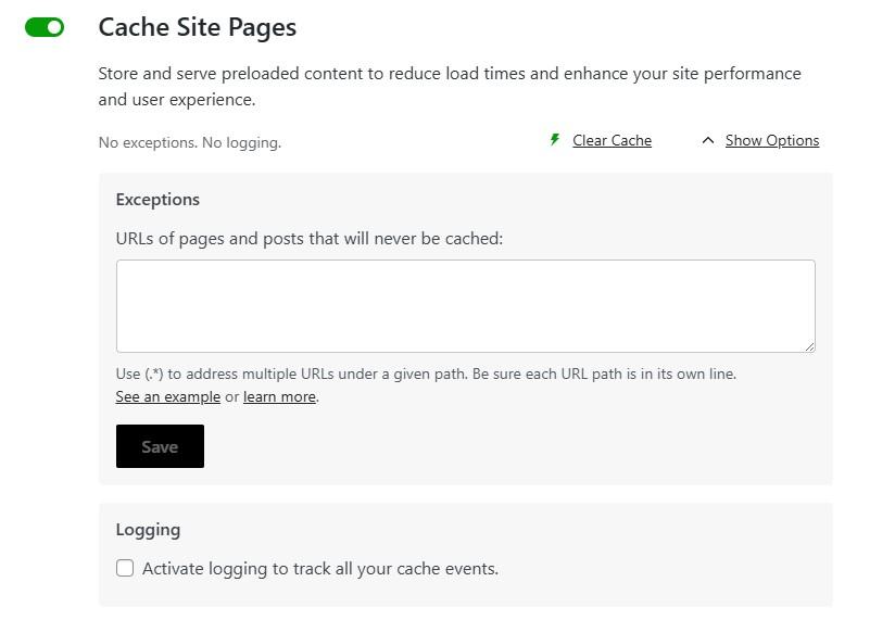 caching option in Jetpack Boost