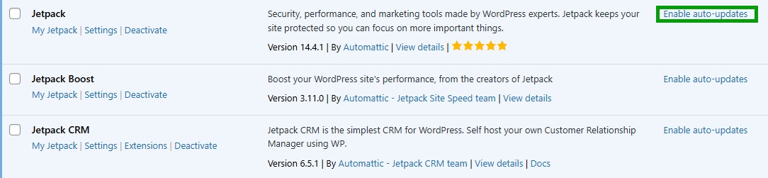 option to enable auto-updates in WordPress