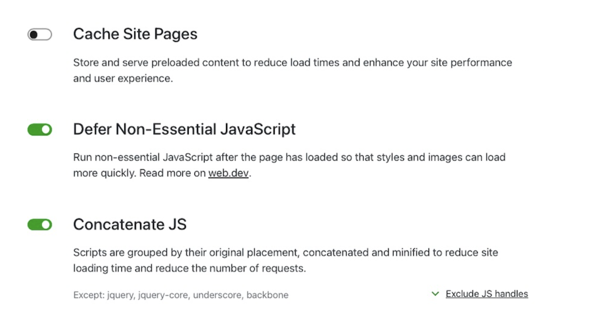 options in Jetpack Boost for various settings