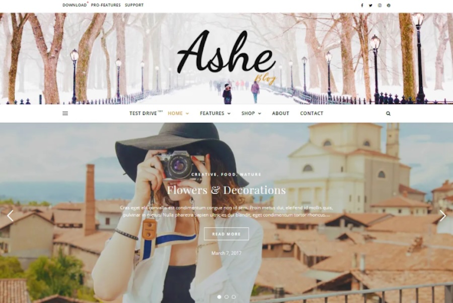 Ashe theme preview