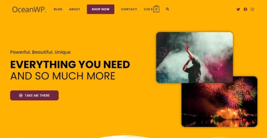 OceanWP homepage with the text "Everything you need and so much more"