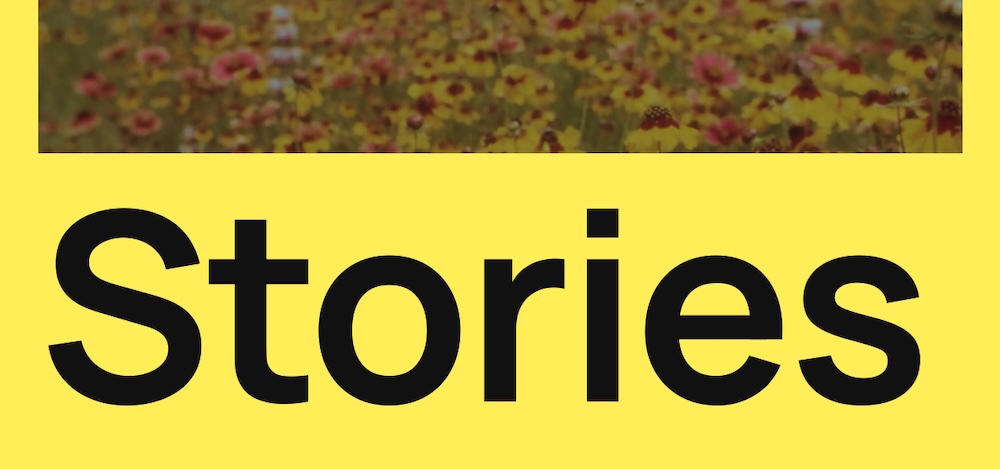 preview of the Twenty Twenty-Five theme with a yellow background