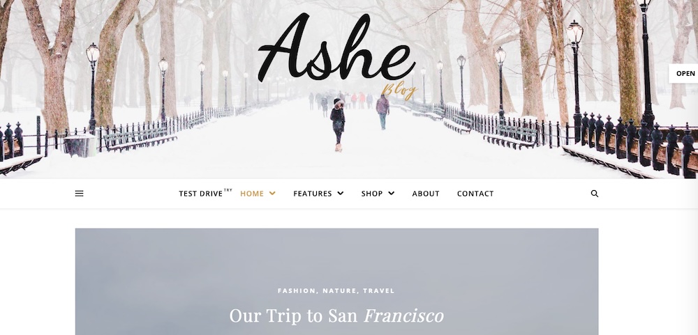 Ashe theme with an image header