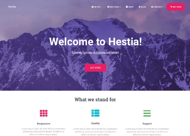 Homepage hero section build with the Hestia theme with a large title, paragraph copy, and a "see more" button.