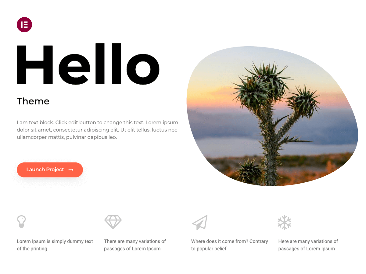 Elementor Theme homepage hero section with title, paragraph, and 'launch project' button.