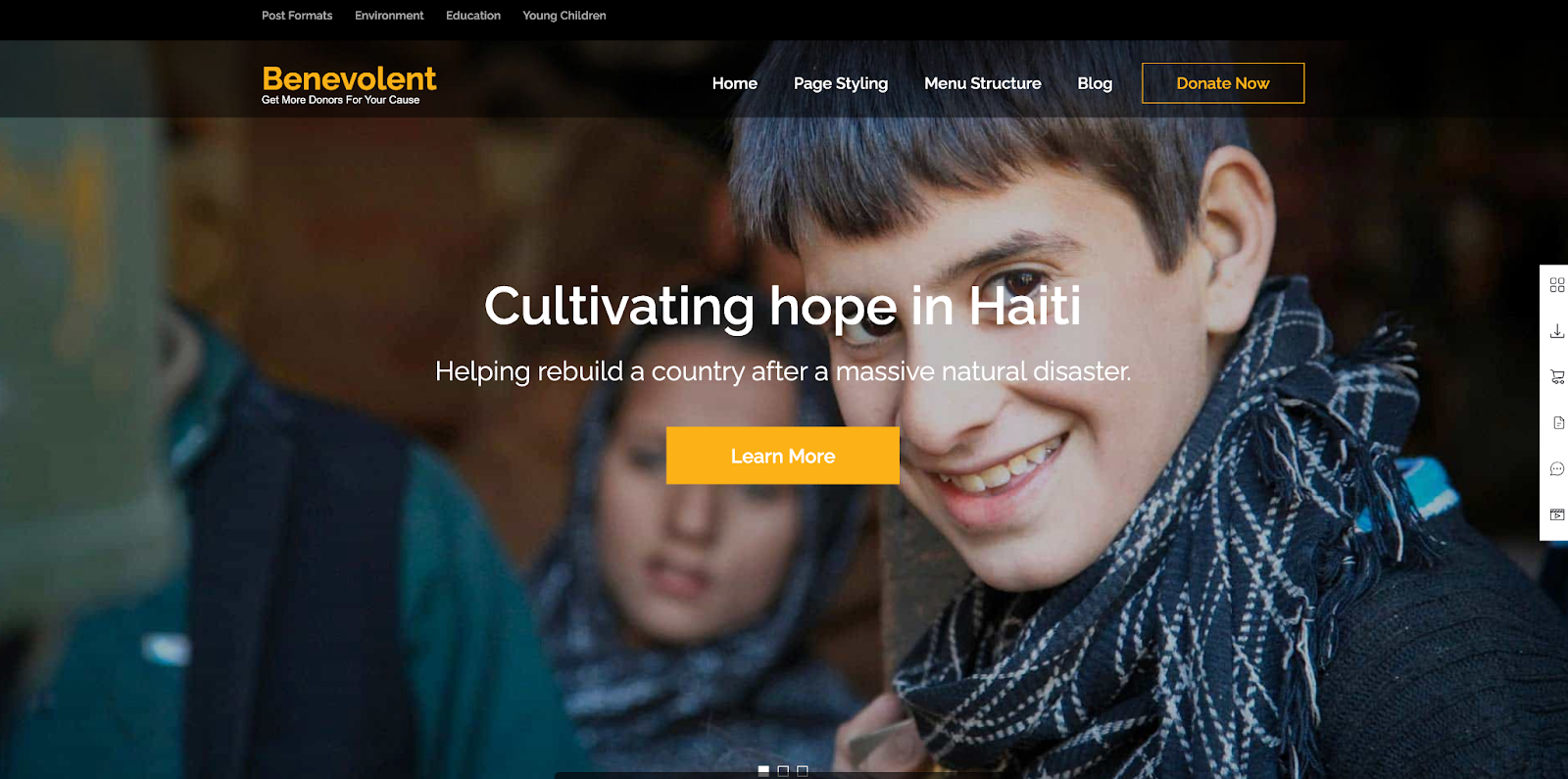 Benevolent Theme homepage hero section with title, paragraph, and 'learn more' button.
