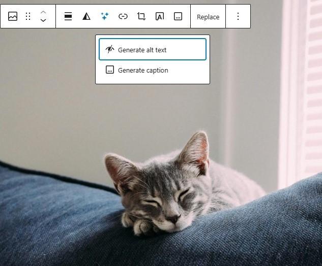 Jetpack AI alt text generation. 

Example: A sleepy gray cat resting on a blue couch, with soft natural light in the background.