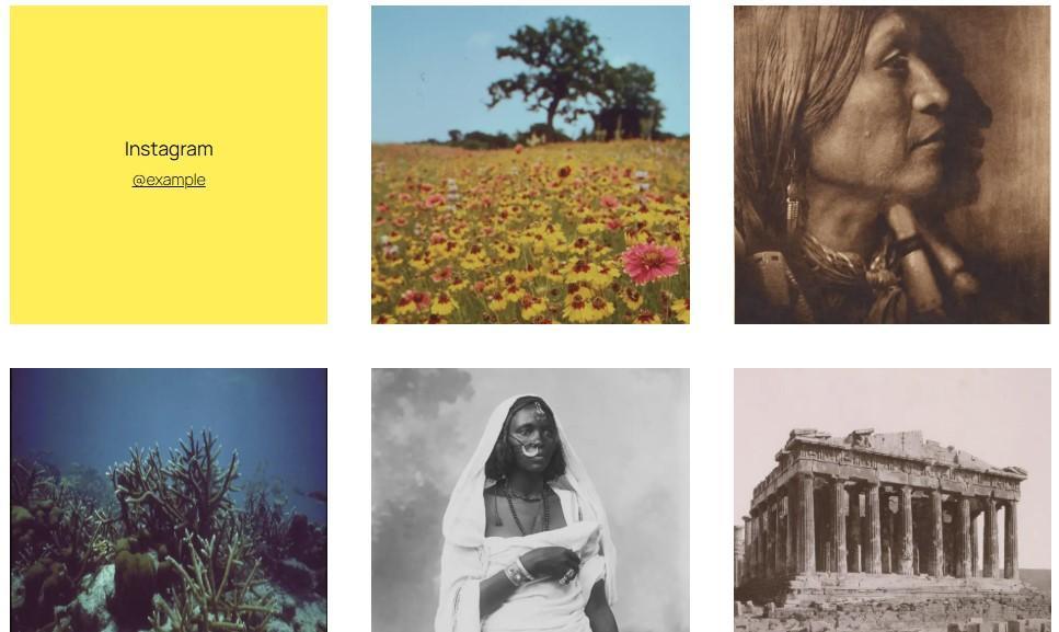 Example of a site built with the Twenty Twenty-Five WordPress theme with a three column image gallery.