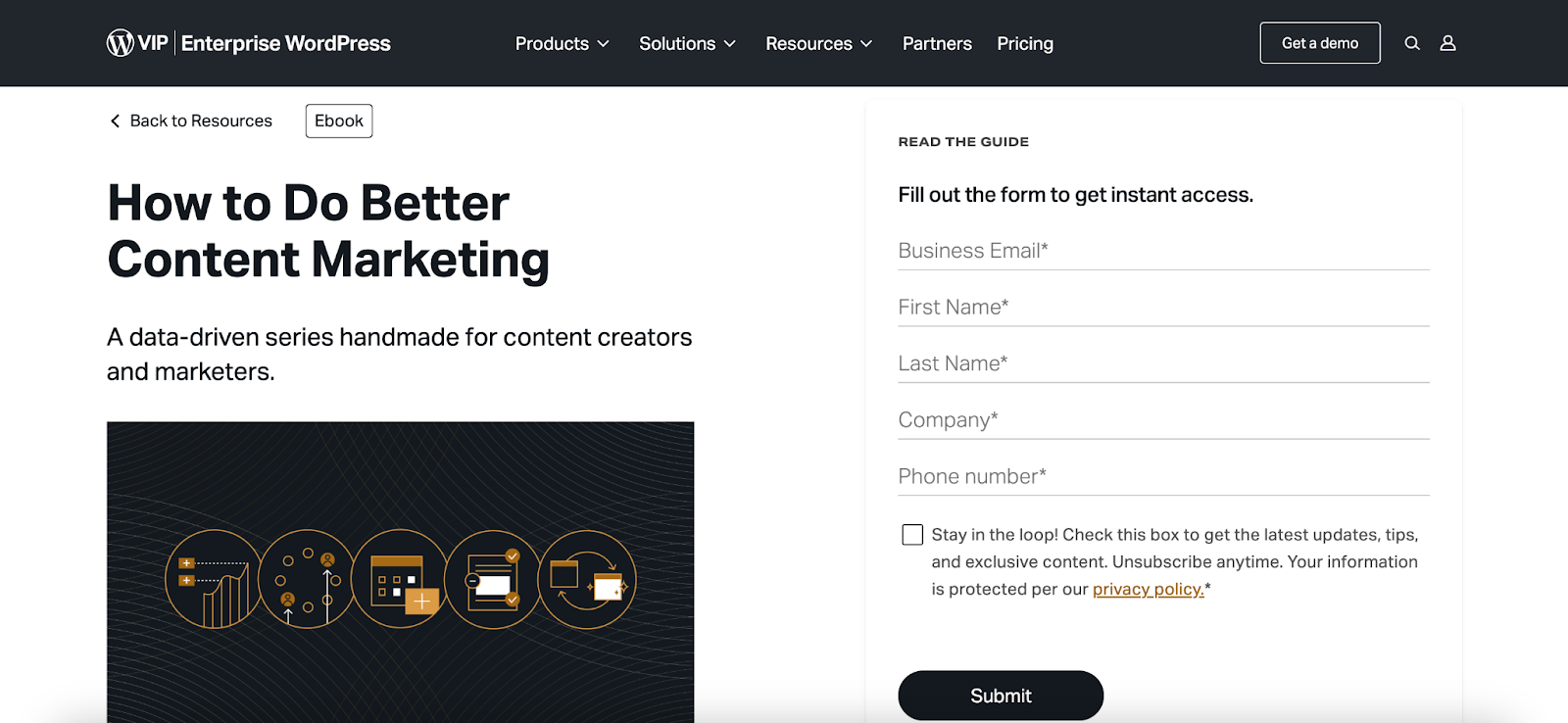 WordPress VIP lead magnet for a content marketing guide