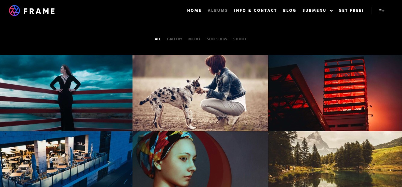 Frame homepage hero section with photo gallery navigation and examples.