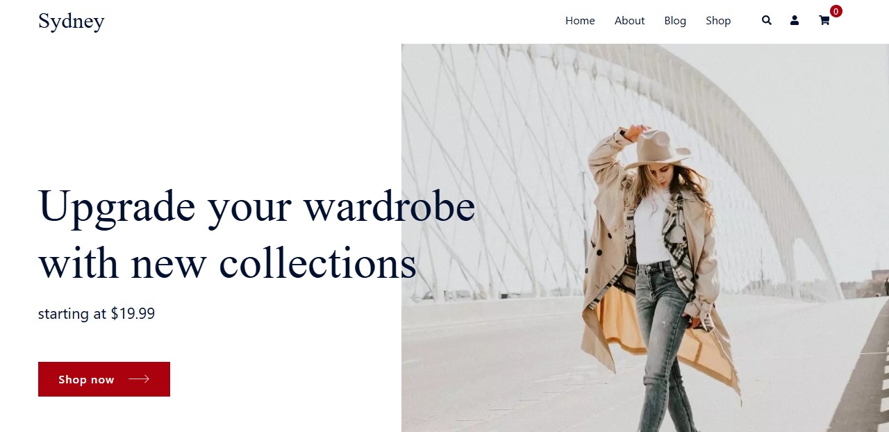 Sydney homepage hero section with title, paragraph, image, and "Show now" button