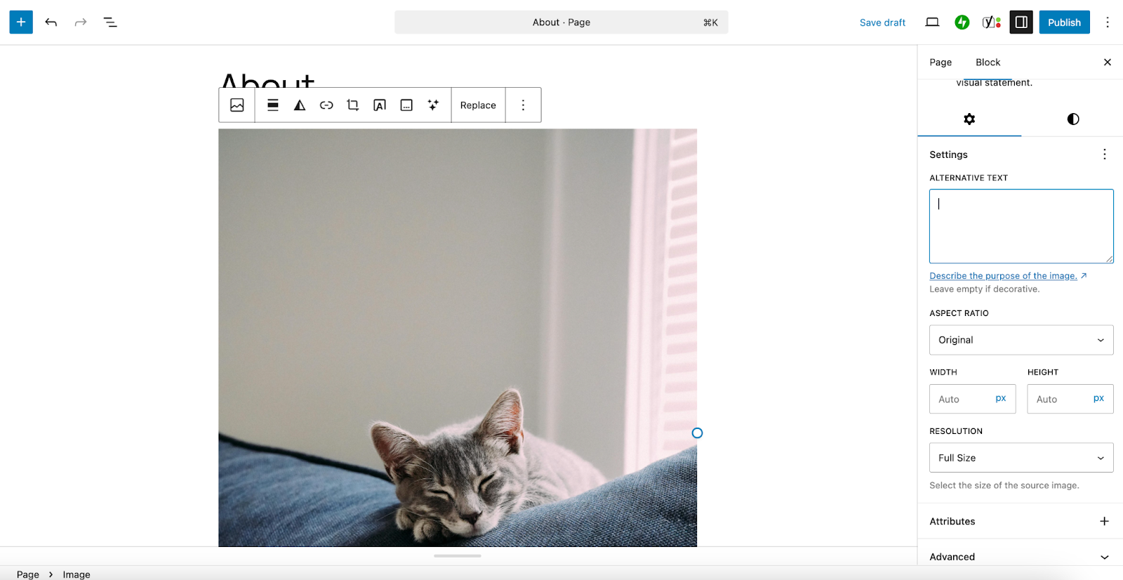 A broader view of the About Page image block with a picture of a gray kitty cat sleeping on a couch, focused on the Image Alternative Text Field.