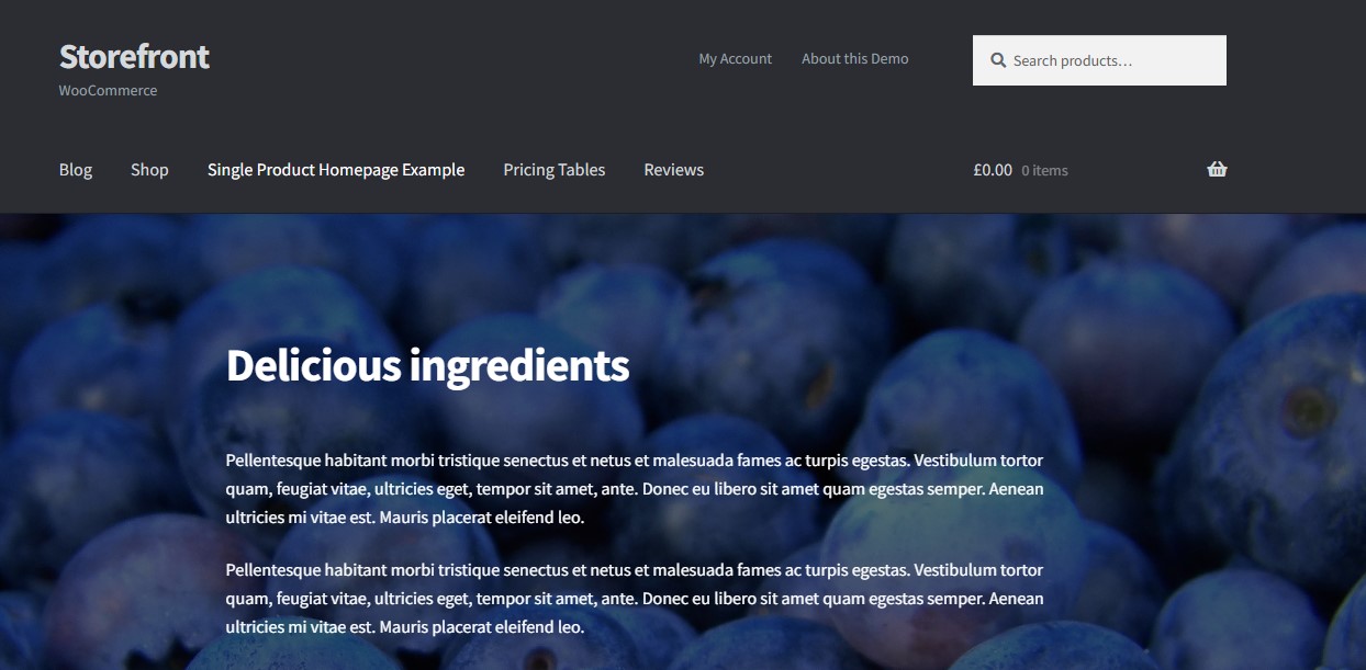 Storefront WooCommerce example homepage hero with image, title, and paragraph.