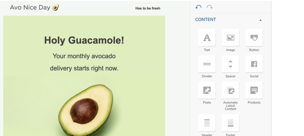 Avo Nice Day within some sort of visual page builder showing block options.