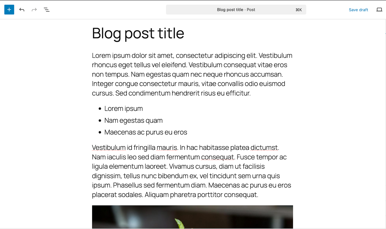 A boiler plate block post in WordPress' block editor with a generic title, lorem ipsum text, and no options selected.