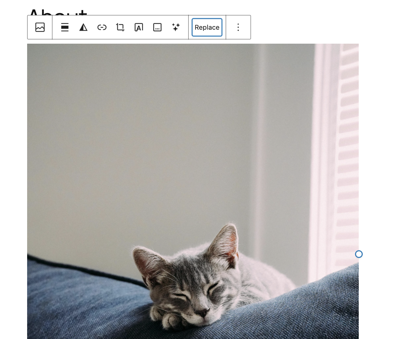 About page image block with a picture of a gray kitty cat sleeping on a couch.